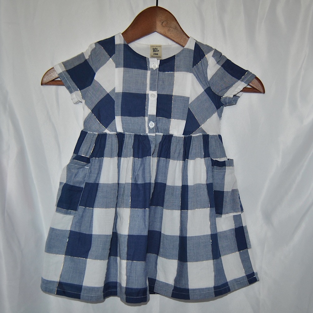 24m Blue Gingham Dress